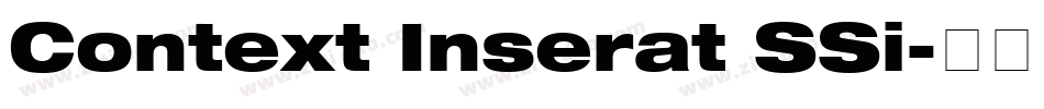 Context Inserat SSi字体转换
